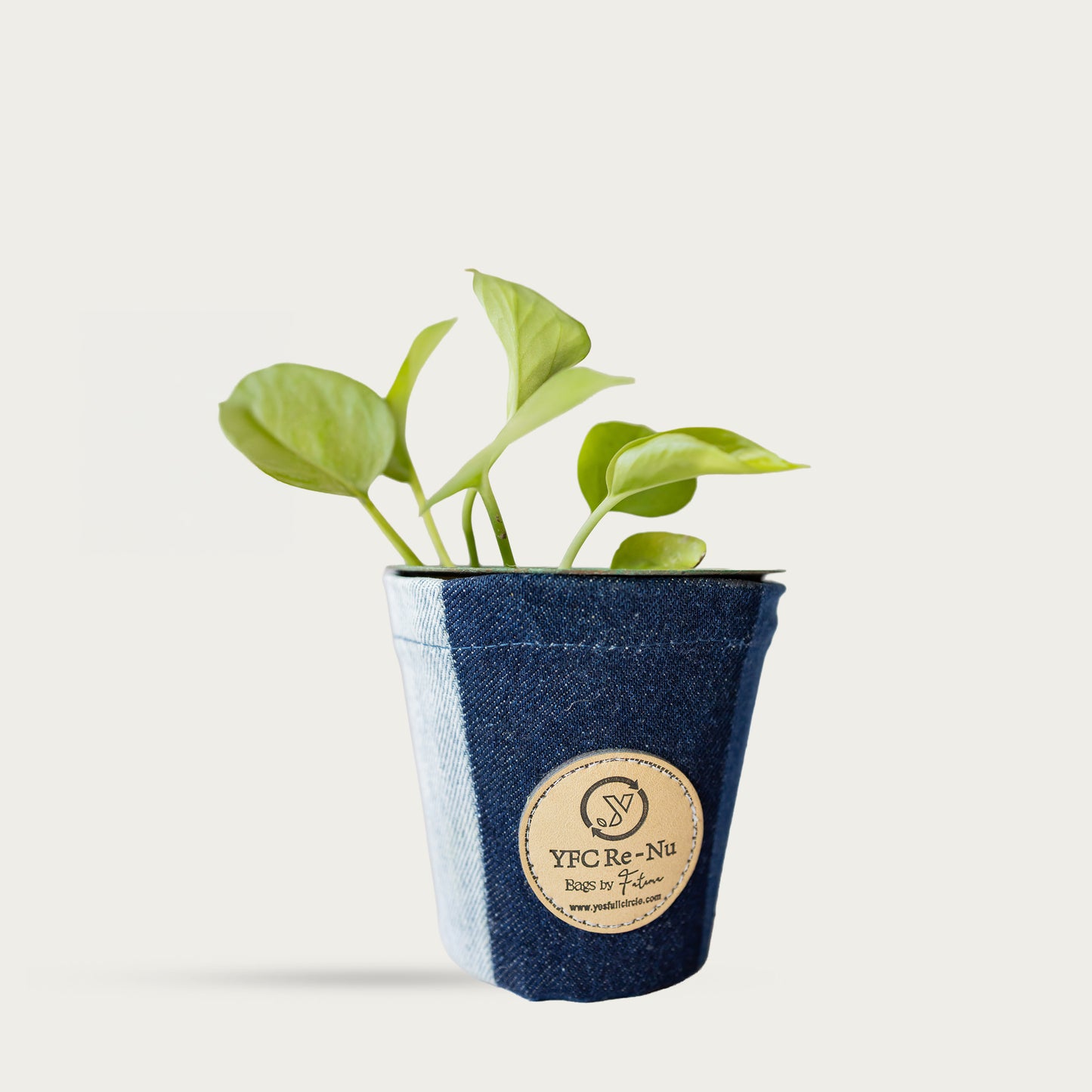 Denim with Plastic Flower Pot